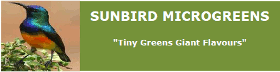 Sunbird Microgreens
