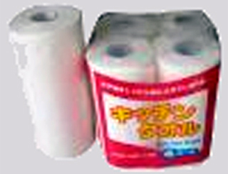 Picture Izidongo Paper Products (Pty) Ltd