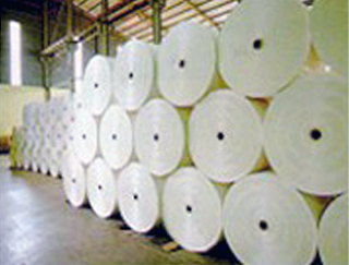 Picture Izidongo Paper Products (Pty) Ltd